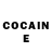 COCAIN Fish Scale Arlette Gutierrez