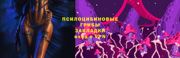 скорость Абаза
