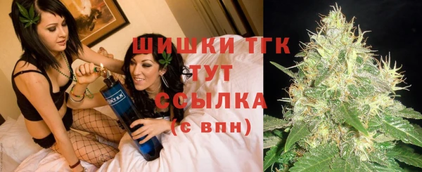 2c-b Пестово